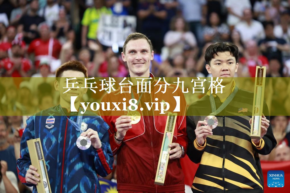 乒乓球台面分九宫格
