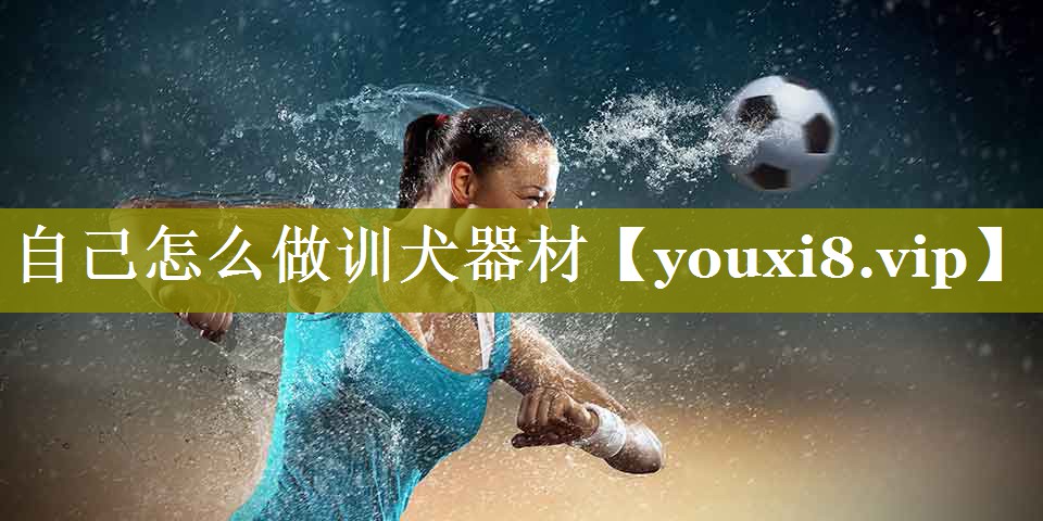 自己怎么做训犬器材 自己怎么做训犬器材